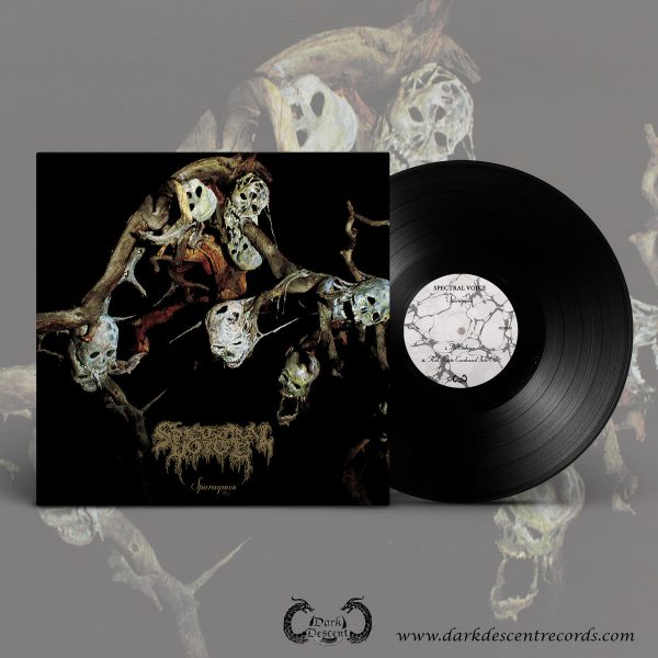 Spectral Voice – Sparagmos LP