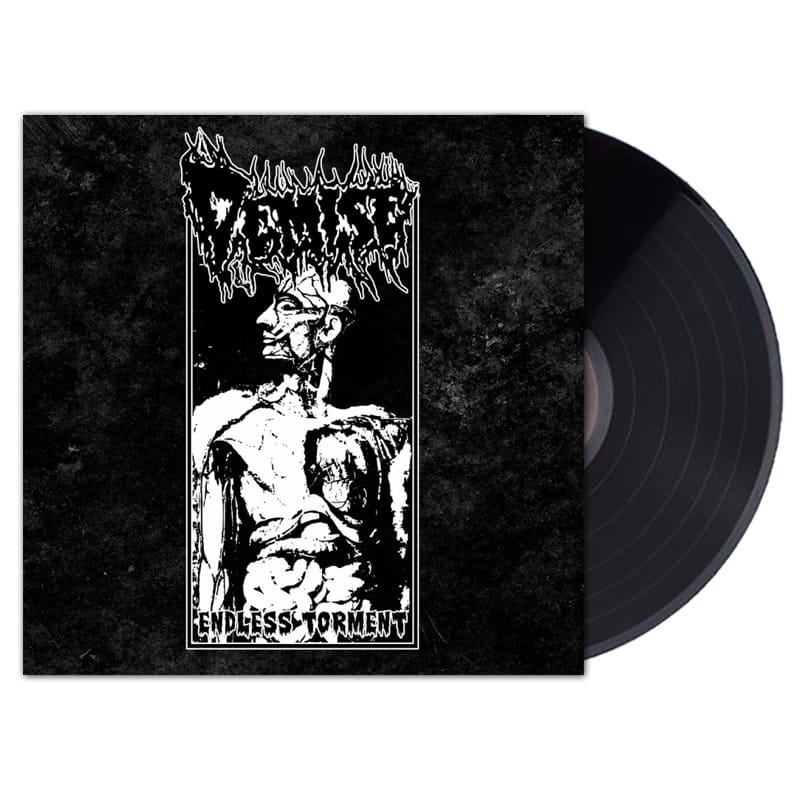 Demise - Endless Torment*