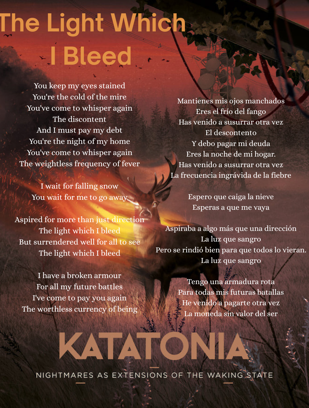 The Light Which I Bleed